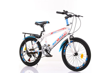 Children Outdoor Variable Speed Mountain Bike 20 Inches