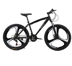 Exercise Bike Magnetic Spinning Bike