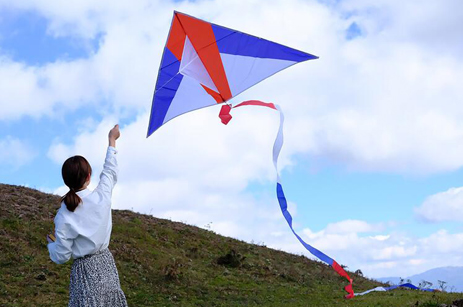 High Quality Polyester Folding Kite
