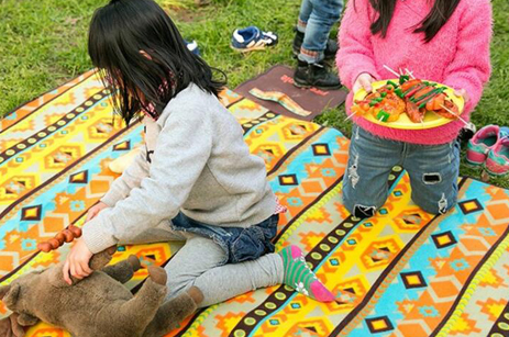 High Quality Waterproof Cotton Picnic Mat