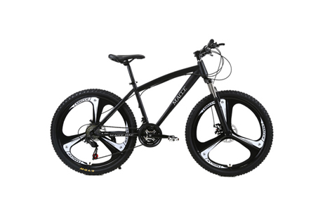 Mountain Bicycles