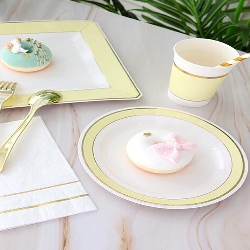 Disposable Paper Plates and Cutlery Set