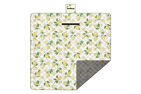 Outdoor Moisture-proof  Thickened Picnic Mat