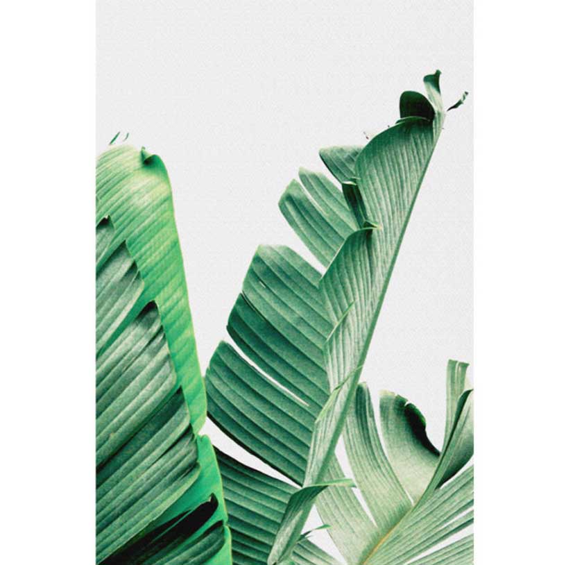 Hot Green Palm Leaf Home Painting Wall Decoration