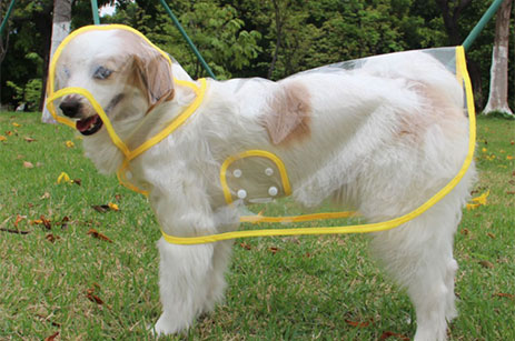 Fashionable See-through Dogs Raincoats