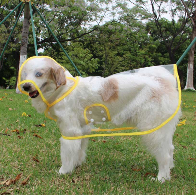 Fashionable See-through Dogs Raincoats