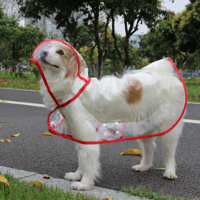 Fashionable See-through Dogs Raincoats