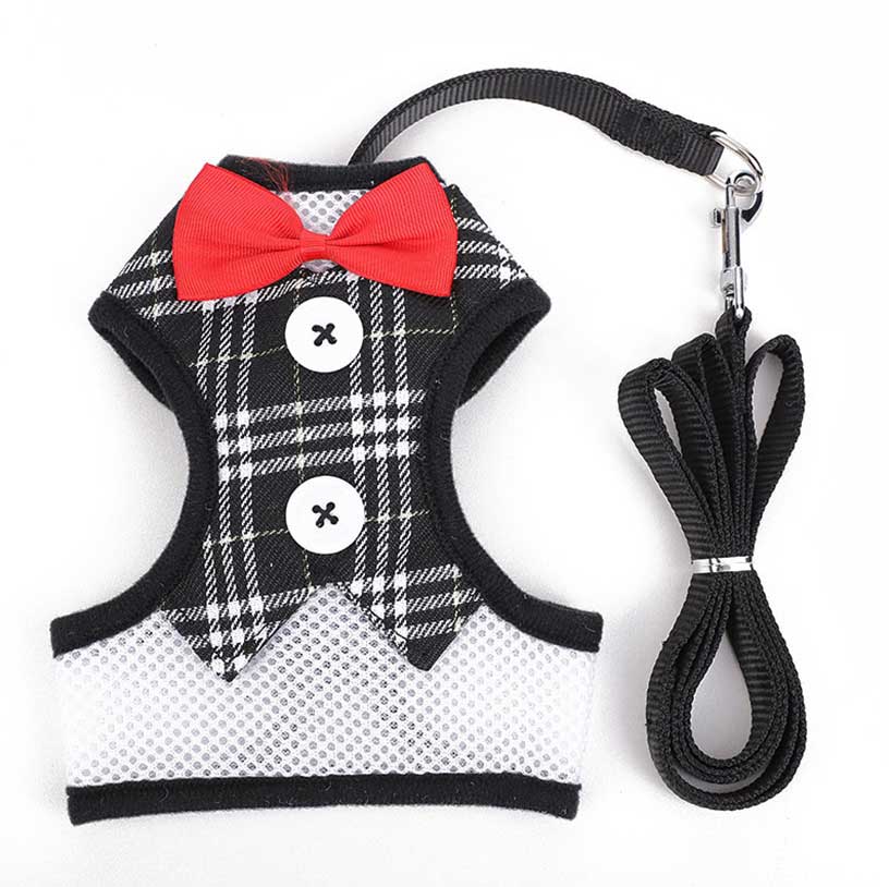 Pet Plaid Bow Leash For Dog Walking