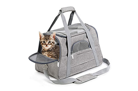 Portable and Breathable Pet Travel Bag