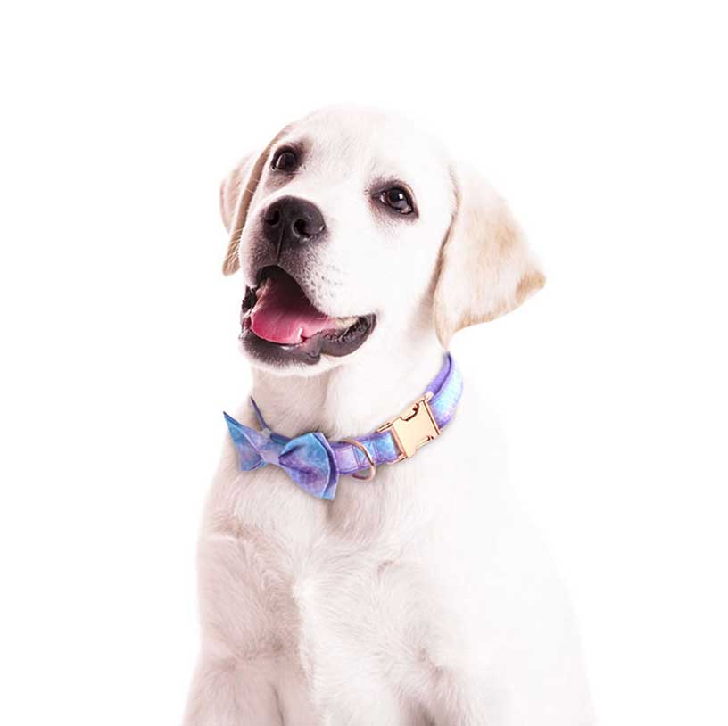 Rose Gold Fastener Pet Bow Collar