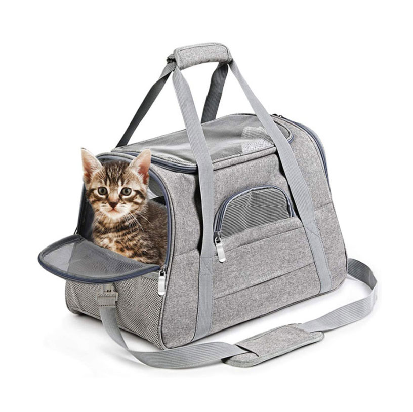 Portable and Breathable Pet Travel Bag