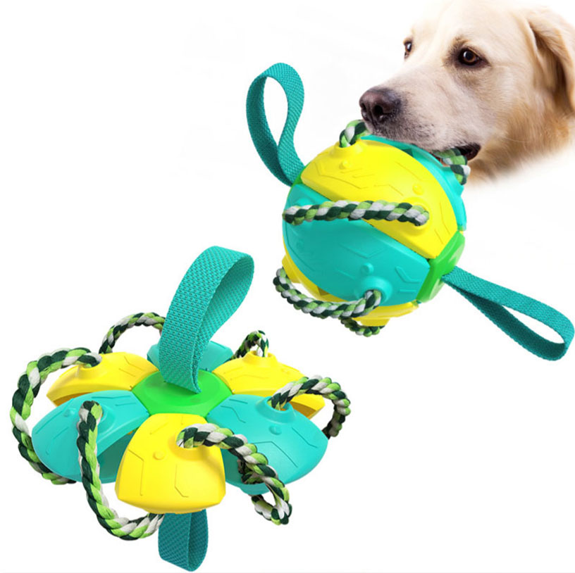 Dog Outdoor Training Frisbee Toy Football