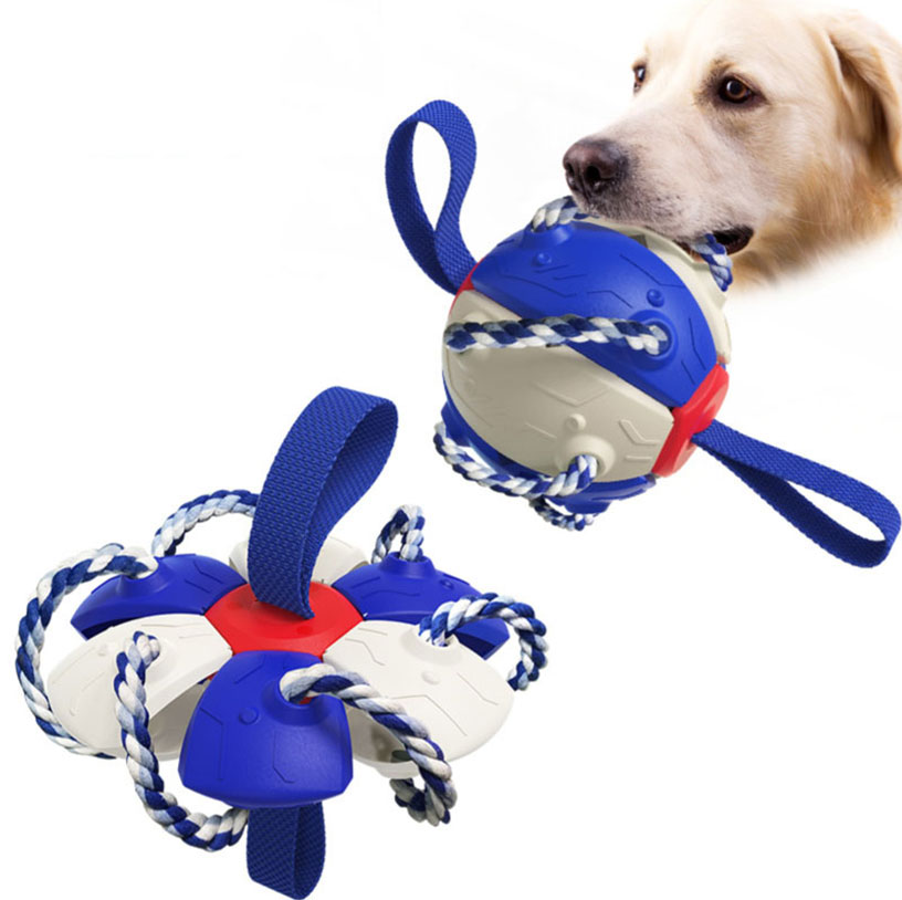 Dog Outdoor Training Frisbee Toy Football