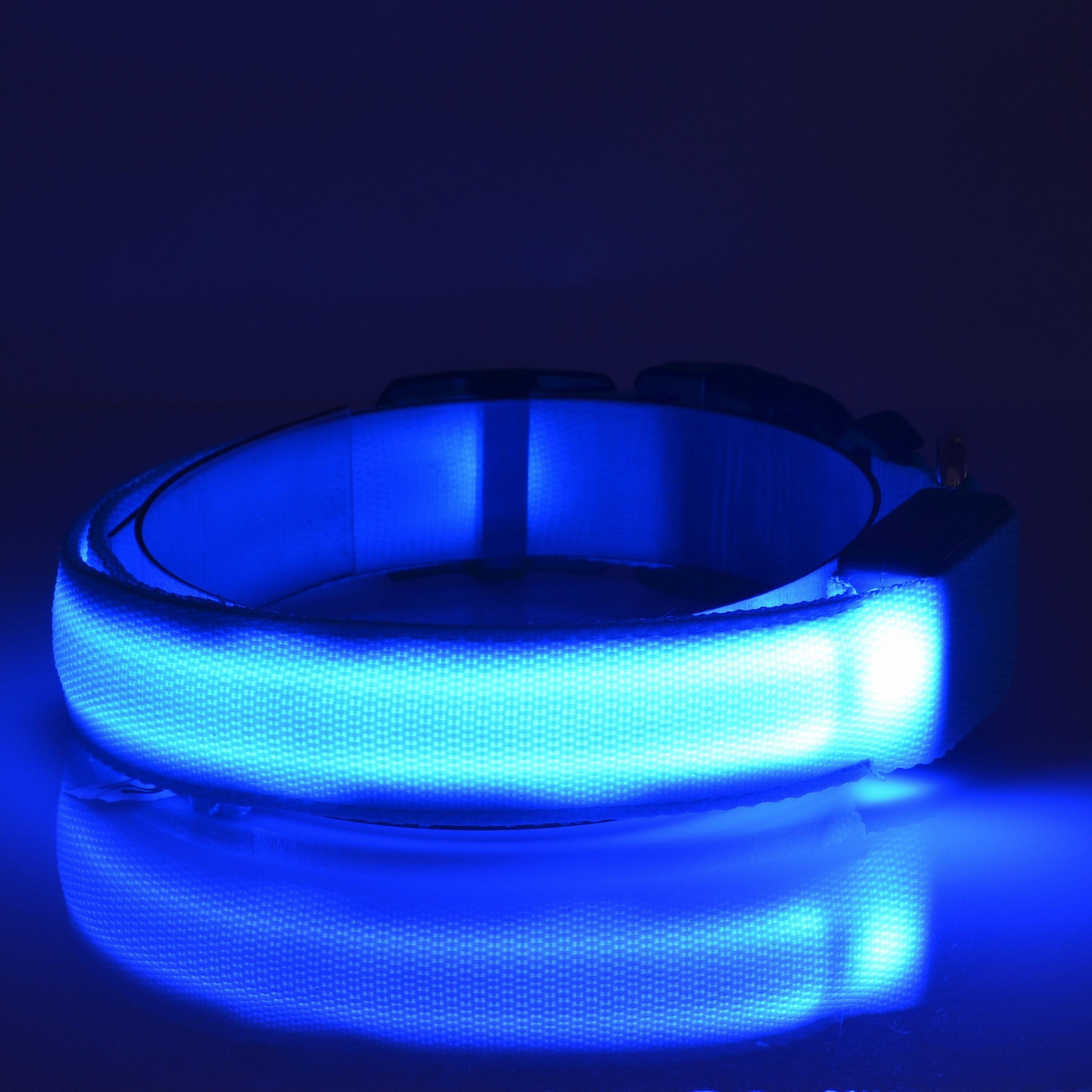 USB Rechargeable Lighted LED Dog Collar