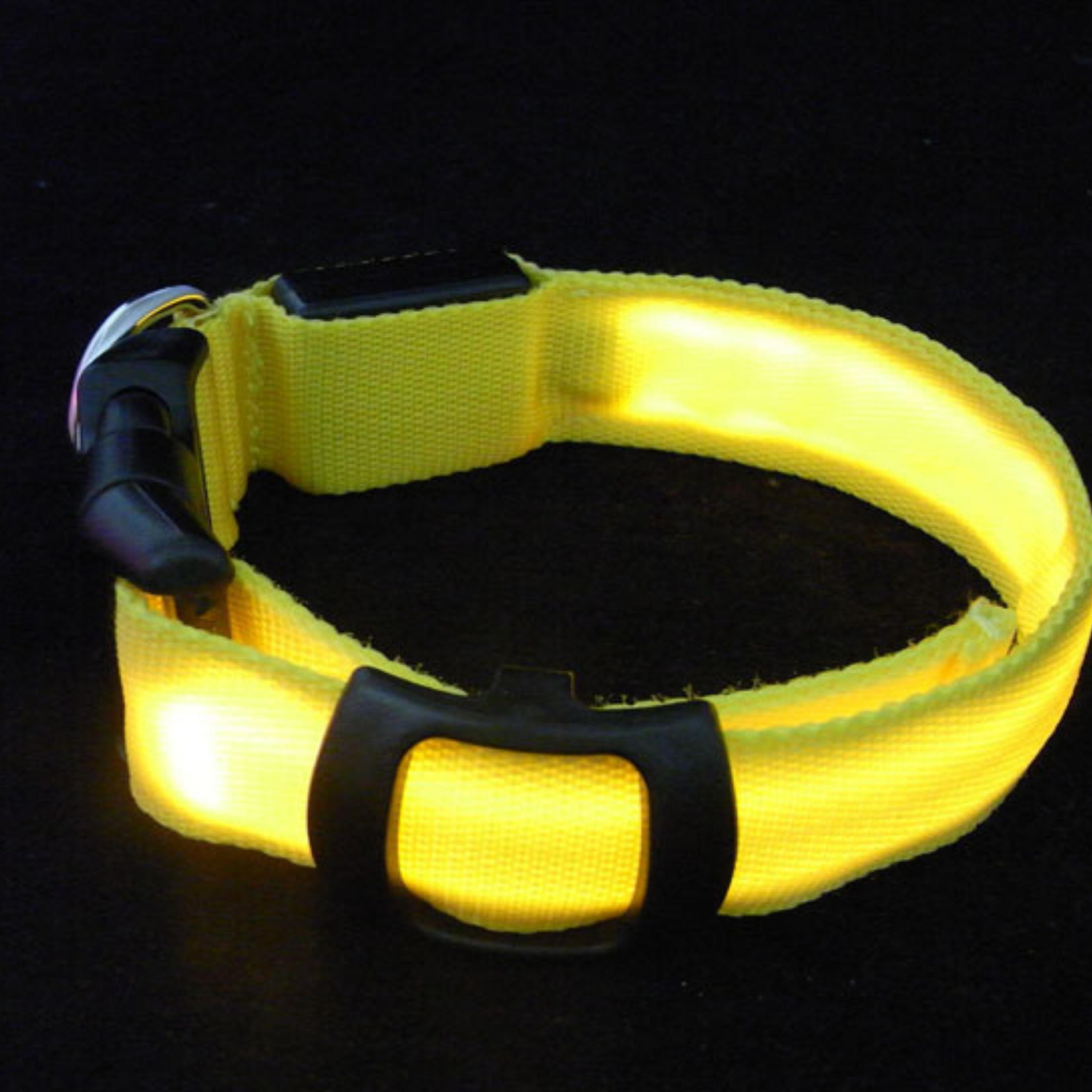 USB Rechargeable Lighted LED Dog Collar