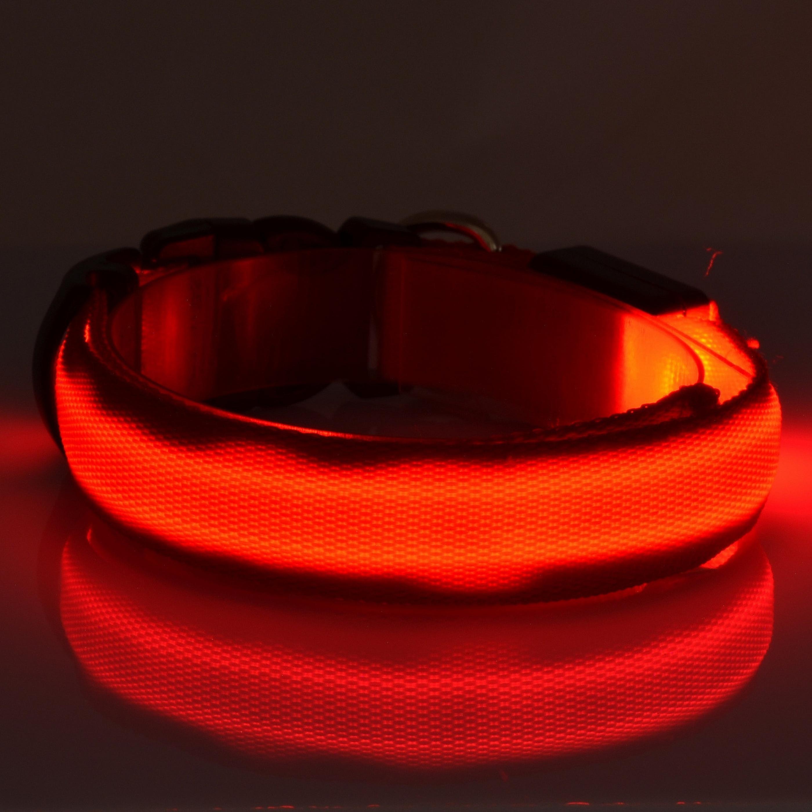 USB Rechargeable Lighted LED Dog Collar