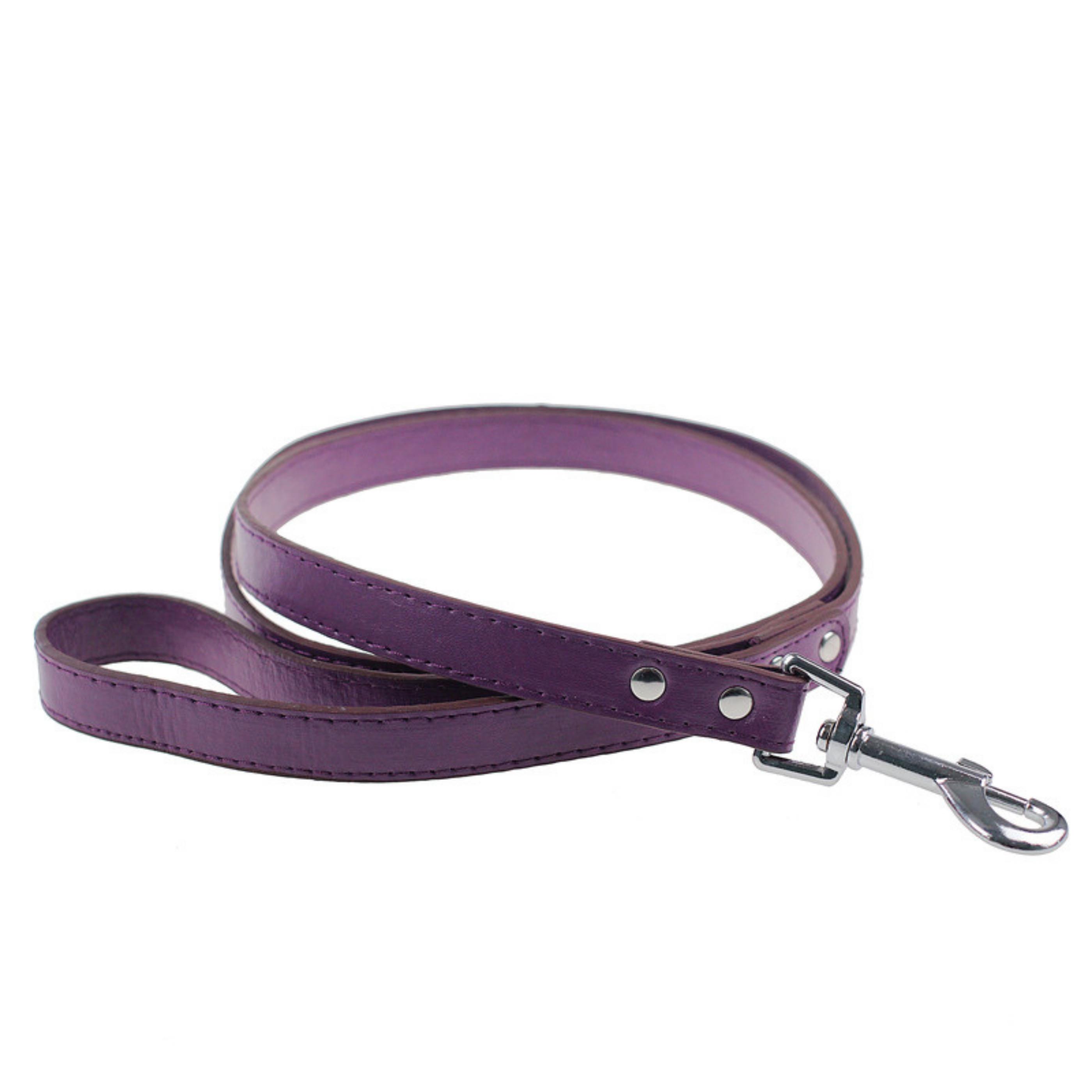 Puppies Walk Soft PU Leather Dog Leash