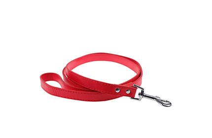 Puppies Walk Soft PU Leather Dog Leash