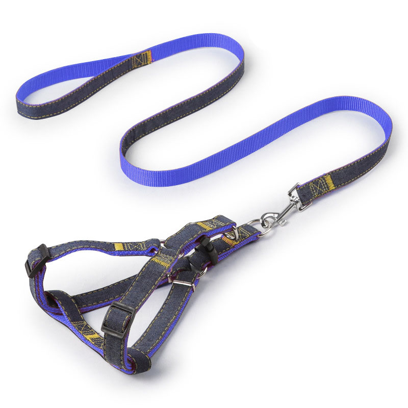 Walking Traction Dog Harness Dog Leash