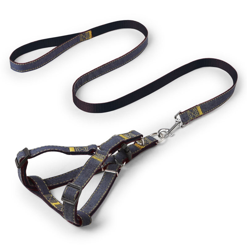 Walking Traction Dog Harness Dog Leash